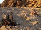 Foto: Oman: the Native Shore of Turtles